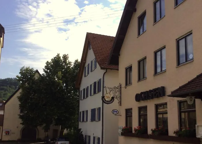 Hotel Ochsen 3*